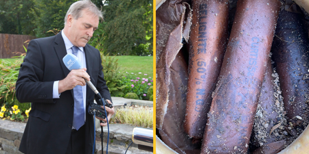 Former RTÉ journalist uncovers ‘180 sticks’ of explosives on his Cork farm