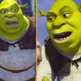 Shrek 5 ‘set to be released in 2025’, according to leaks
