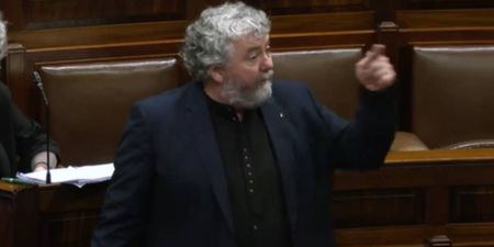 TD drops furious ‘F-Bomb’ outburst in Dáil following Healy-Rae interruption