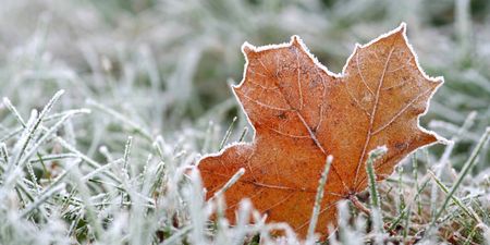 Met Éireann issue weather warning for 23 counties as big freeze approaches