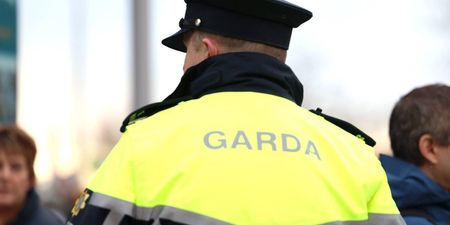Tasers to be issued to Public Order Unit in list of new support measures for Garda