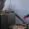 People left sickened after learning how vegan sausages are produced