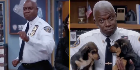 Captain Holt’s best moments have gone viral following Andre Braugher’s death