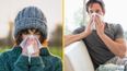 This is why people keep getting sick in January