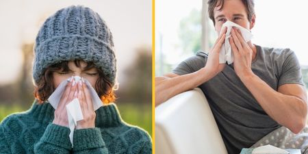 This is why people keep getting sick in January