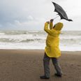 Ireland facing back to back storms as Status Orange warning issued