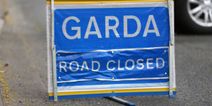 Man in his 20s dies, two others hospitalised, in Cork road crash