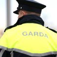 Boy hospitalised with serious injuries after savage dog attack in Kerry