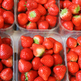 Dead mouse found in strawberries among thousands of Irish food safety complaints