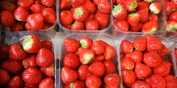 Dead mouse found in strawberries among thousands of Irish food safety complaints