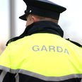 Garda arrested in connection to death of GAA coach killed in hit & run
