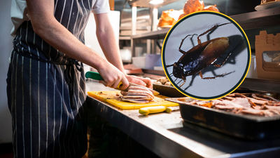 Multiple closure orders issued in popular Dublin food court due to 'cockroach infestation'