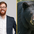 Viral ‘bear or man’ question leaves internet divided